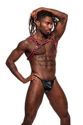 Leo - MP596266 by Malepower