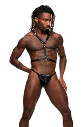 Sagittarius - MP597266 by Malepower