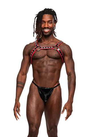 Leo - MP596266 by Malepower